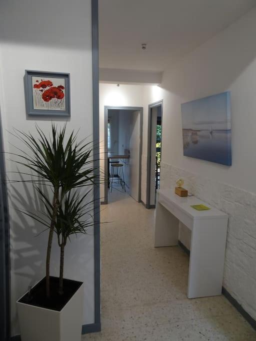 Grande Maison 3 Chambres - Jardin, Terrasse Et Parking - Bord De Mer Торрей Экстерьер фото